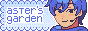 aster's garden